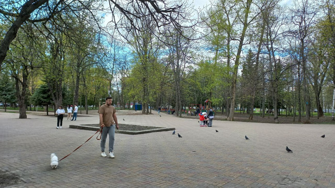 Куряне голосуют за новые парки и скверы.